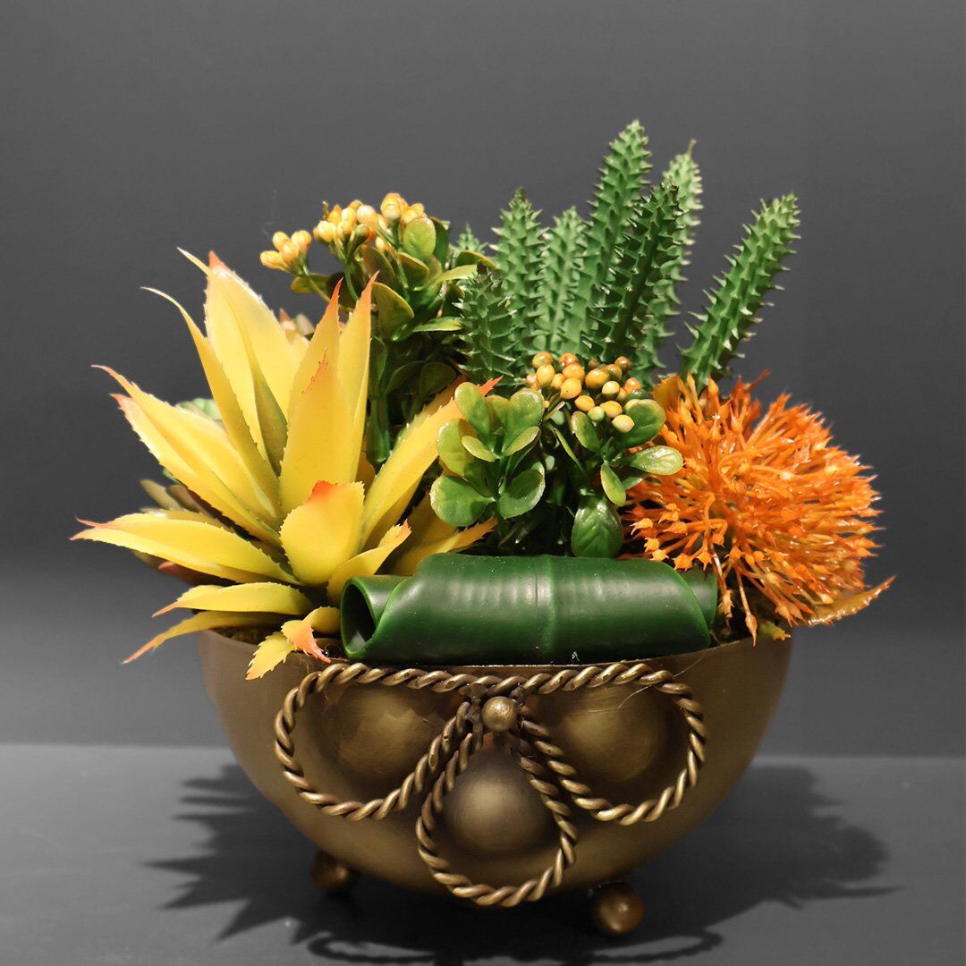 Fiyonk Saksılı Sukulent Eskitme