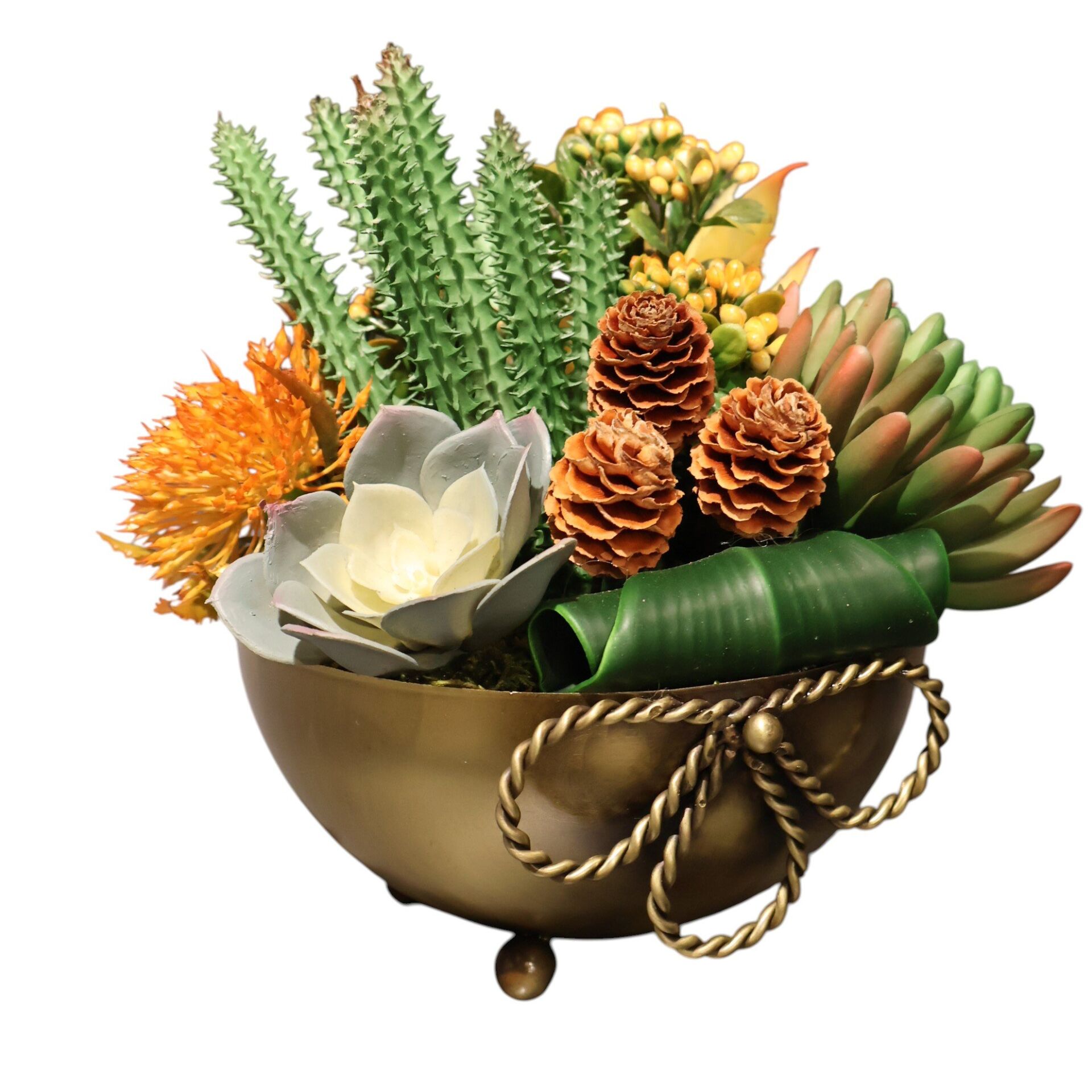 Fiyonk Saksılı Sukulent Eskitme