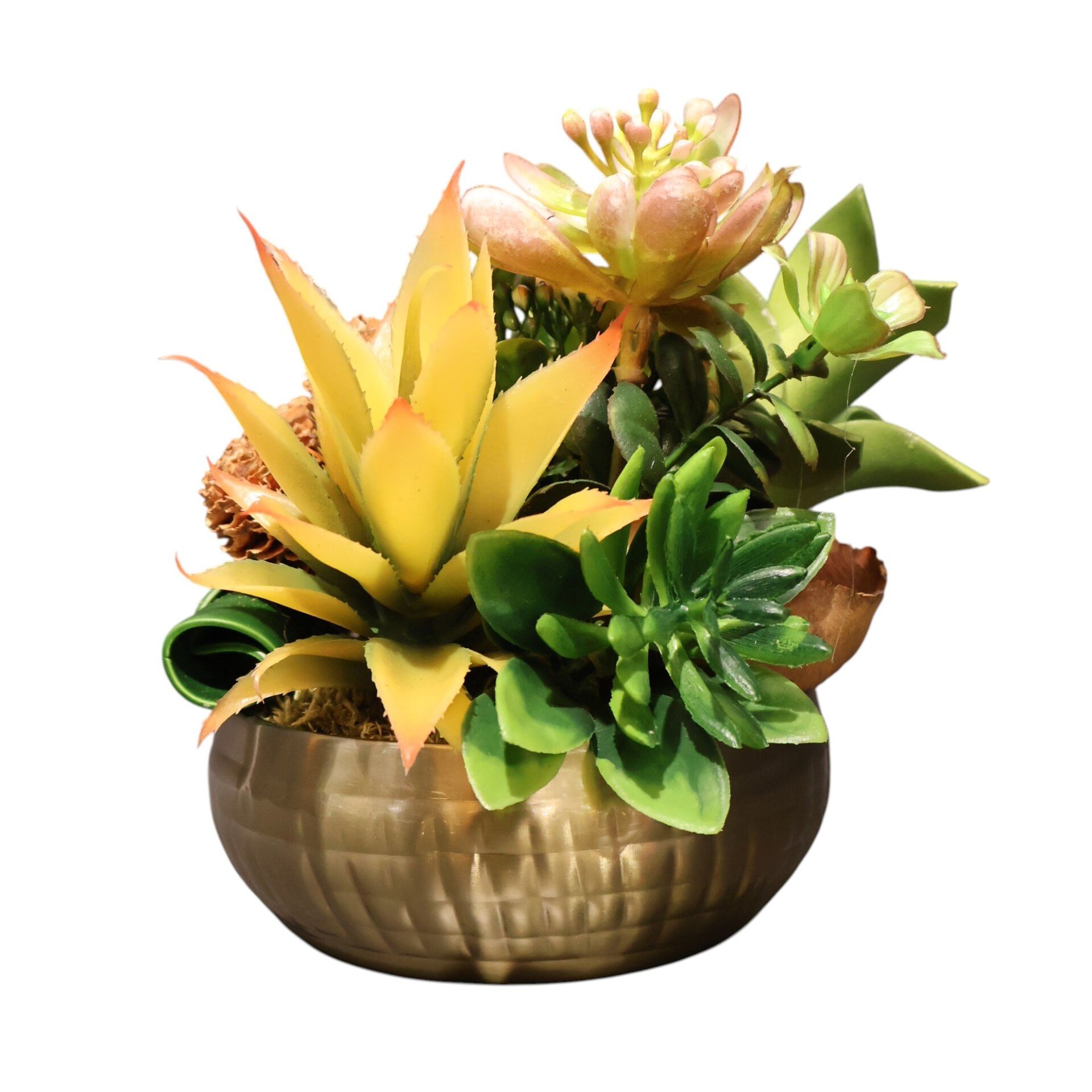 Kare Desen Saksı Eskitme Sukulent