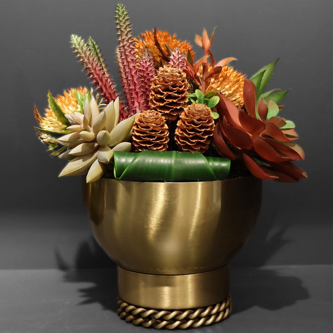 Burgu Taban Sukulent Eskitme Küçük