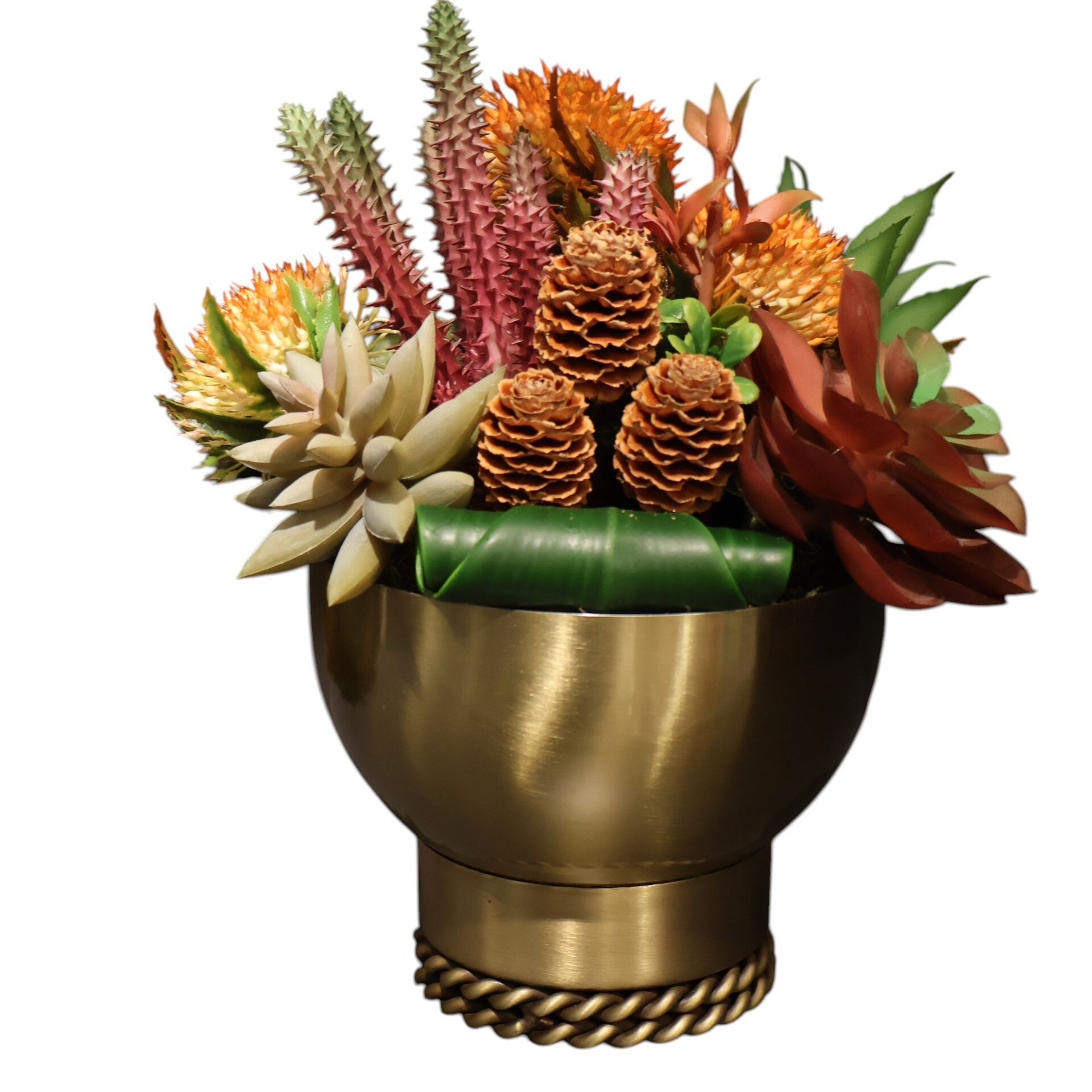 Burgu Taban Sukulent Eskitme Küçük