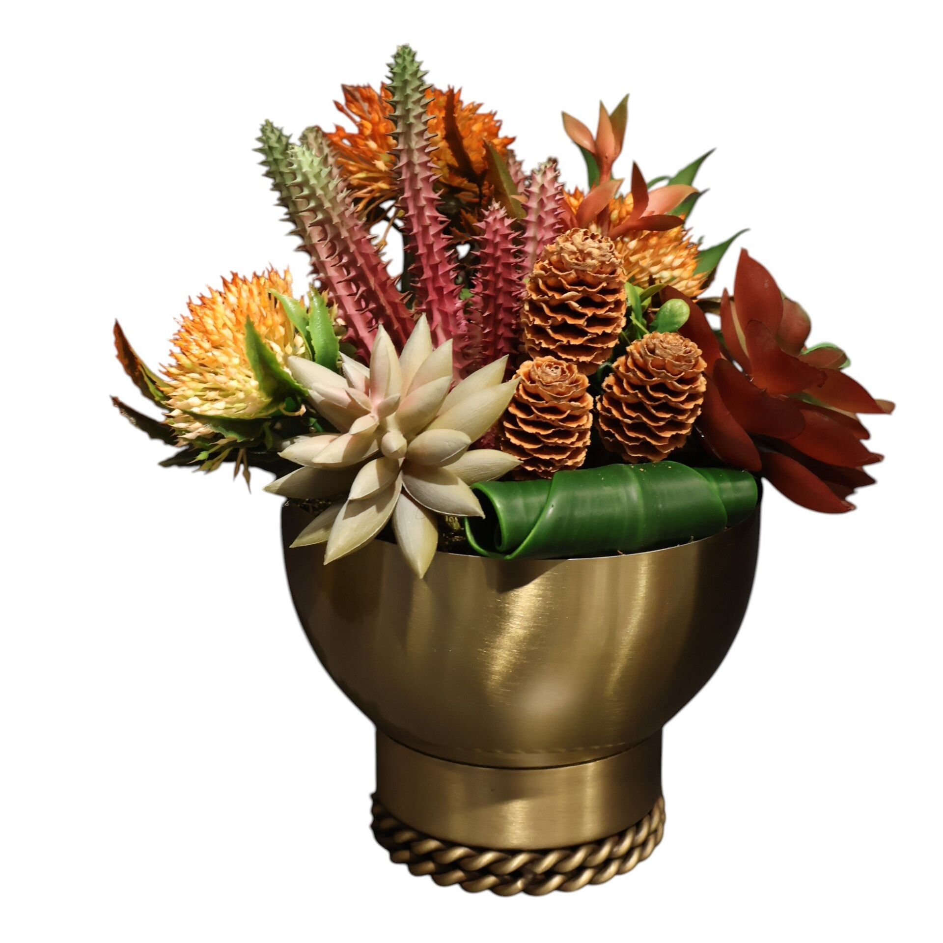 Burgu Taban Sukulent Eskitme Küçük