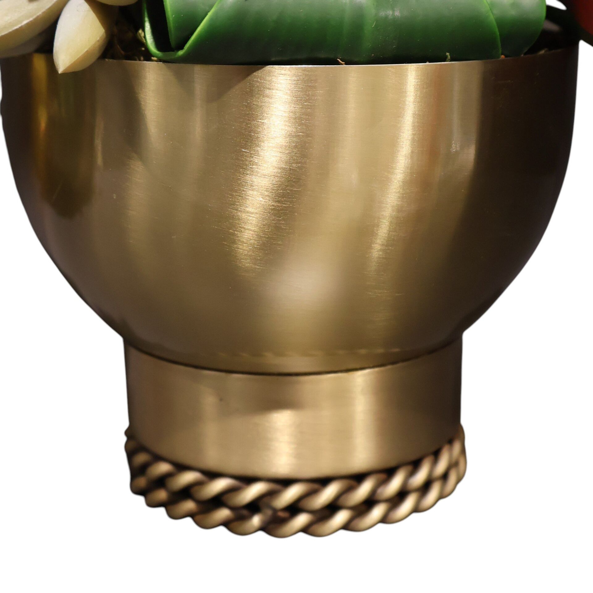 Burgu Taban Sukulent Eskitme Küçük