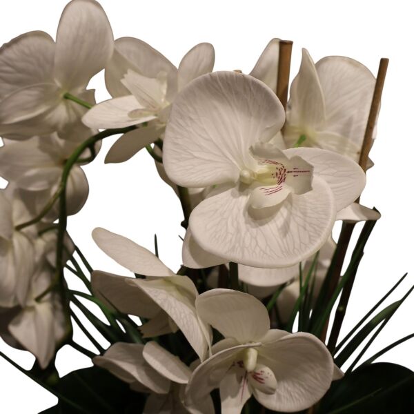 Dalga Vazo Orkide Gold