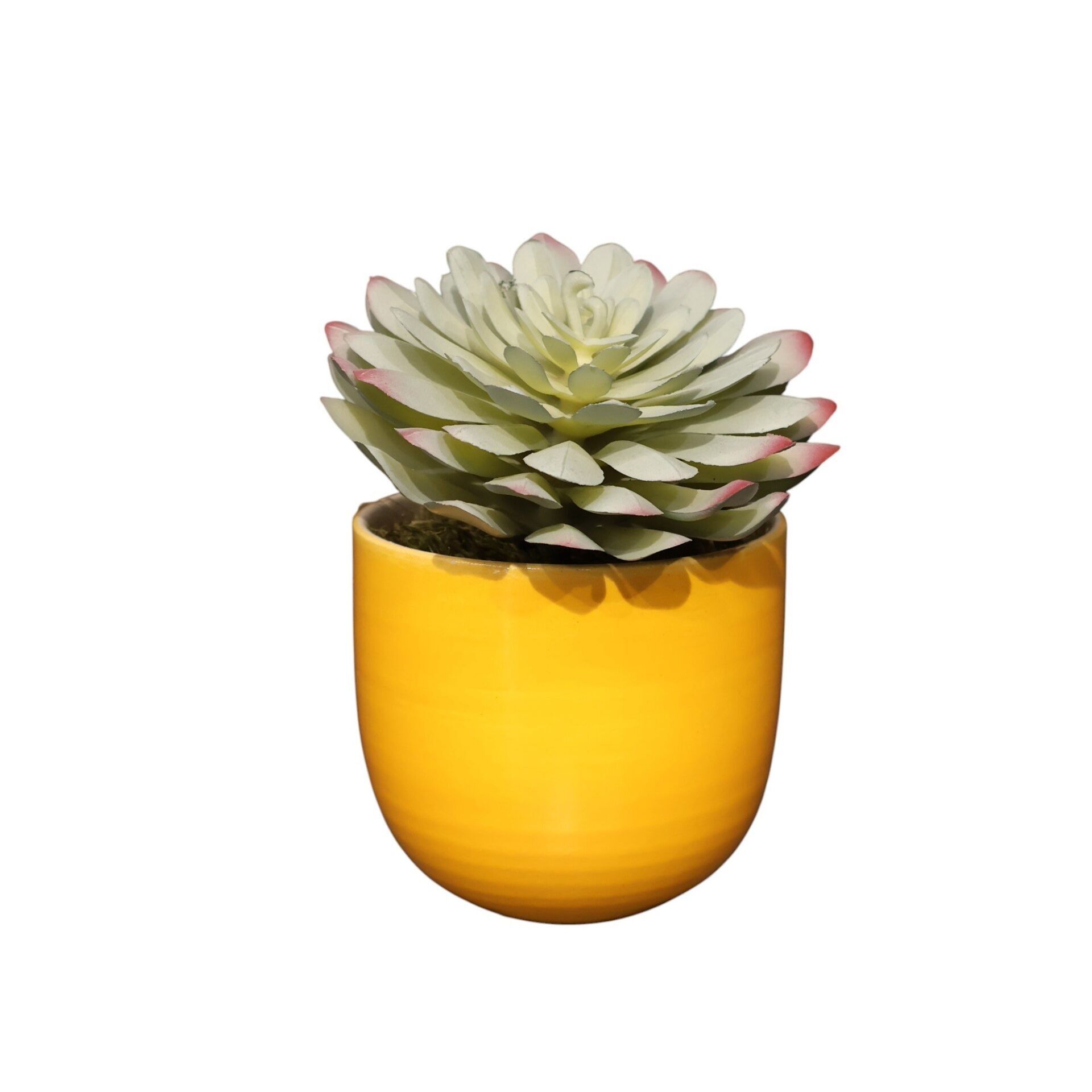 Sukulent Saksı Mor 13Cm