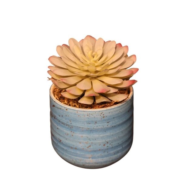 Sukulent Saksı Mor 13Cm