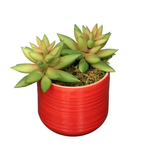 Sukulent Saksı Mor 13Cm Kırmızı