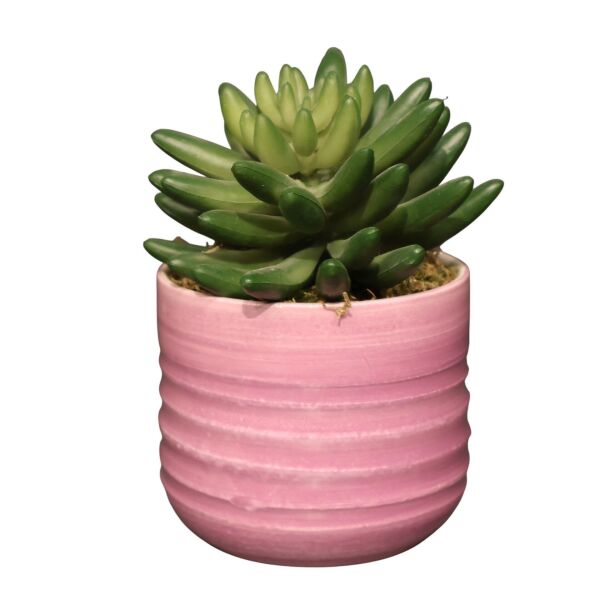 Sukulent Saksı Mor 13Cm Mor