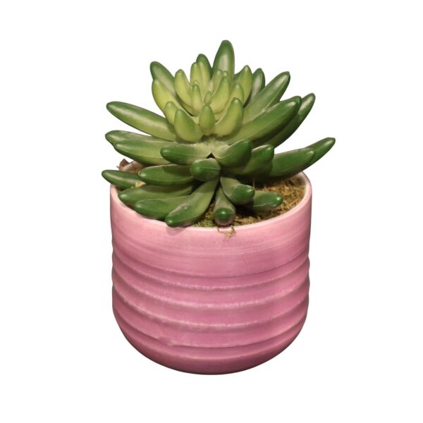 Sukulent Saksı Mor 13Cm Mor