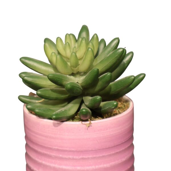 Sukulent Saksı Mor 13Cm Mor