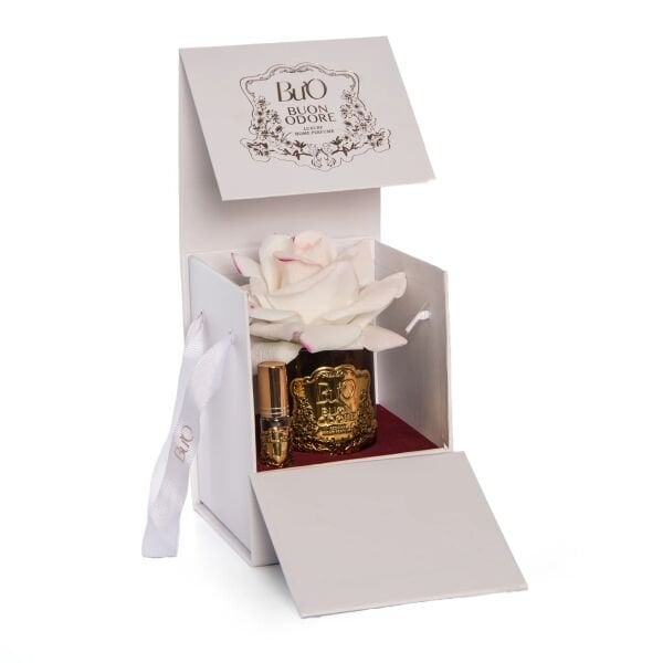 Amber Cam Gold Tek Gül Allıklı Luxury Home Perfume