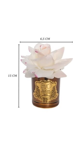 Amber Cam Gold Tek Gül Allıklı Luxury Home Perfume