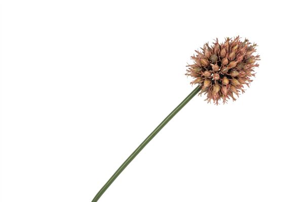 Pembe Yapay Soğan Çiçeği 68 Cm
