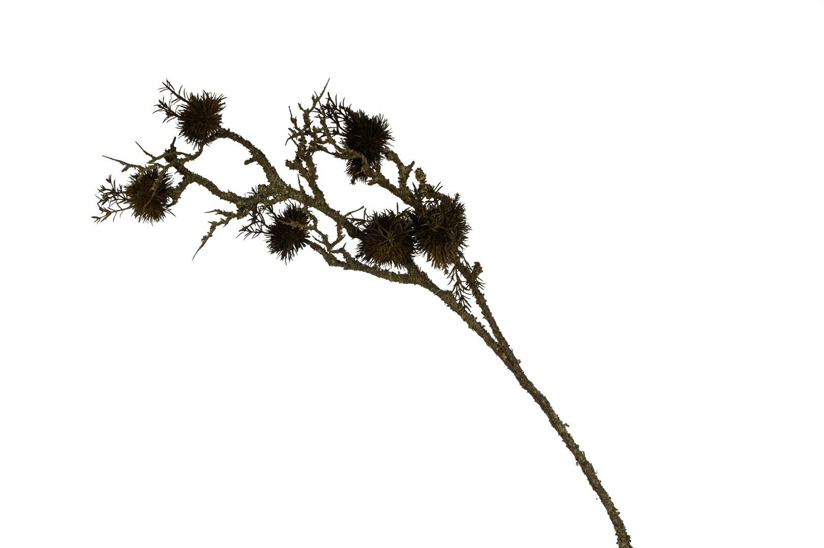 Kuru Dal Dikenli Yapay Çiçek 101 Cm