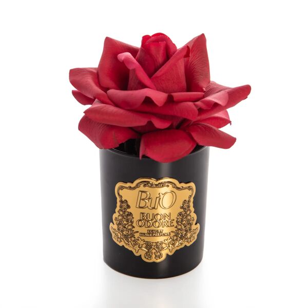 Siyah Cam Gold Tek Gül Icon Luxury Home Perfume Kırmızı