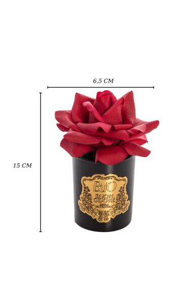 Siyah Cam Gold Tek Gül Icon Luxury Home Perfume Kırmızı