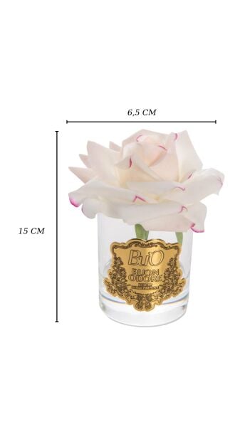 Cam Gold Tek Gül Icon Luxury Home Perfume Allıklı
