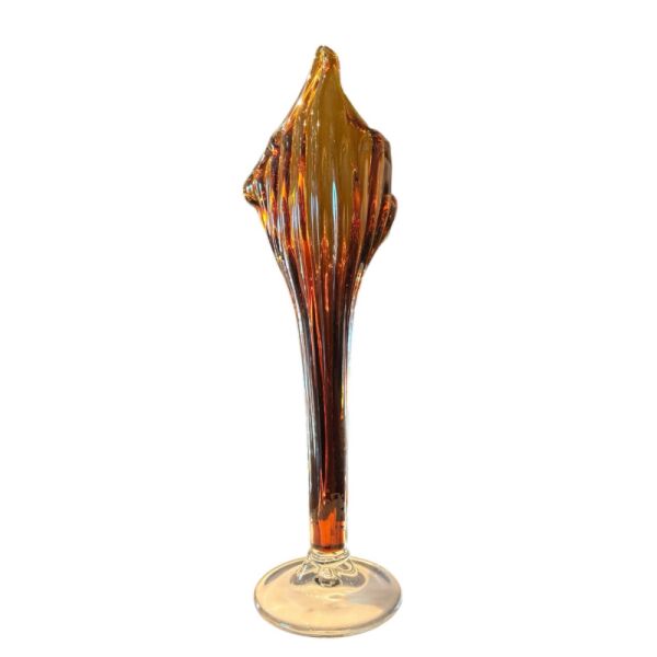 Cam Zambak Amber Büyük Amber