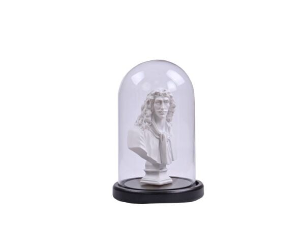 Moliere Büst Fanus