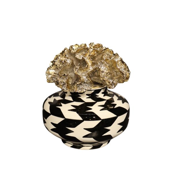 Gold Mercan Kapak Kazayağı Yayvan Küp