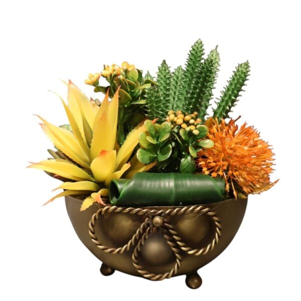 Fiyonk Saksılı Sukulent Eskitme