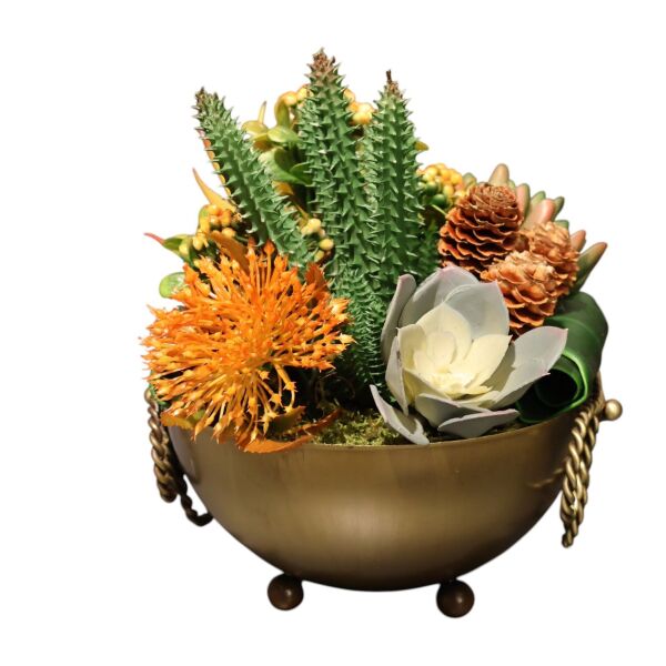 Fiyonk Saksılı Sukulent Eskitme