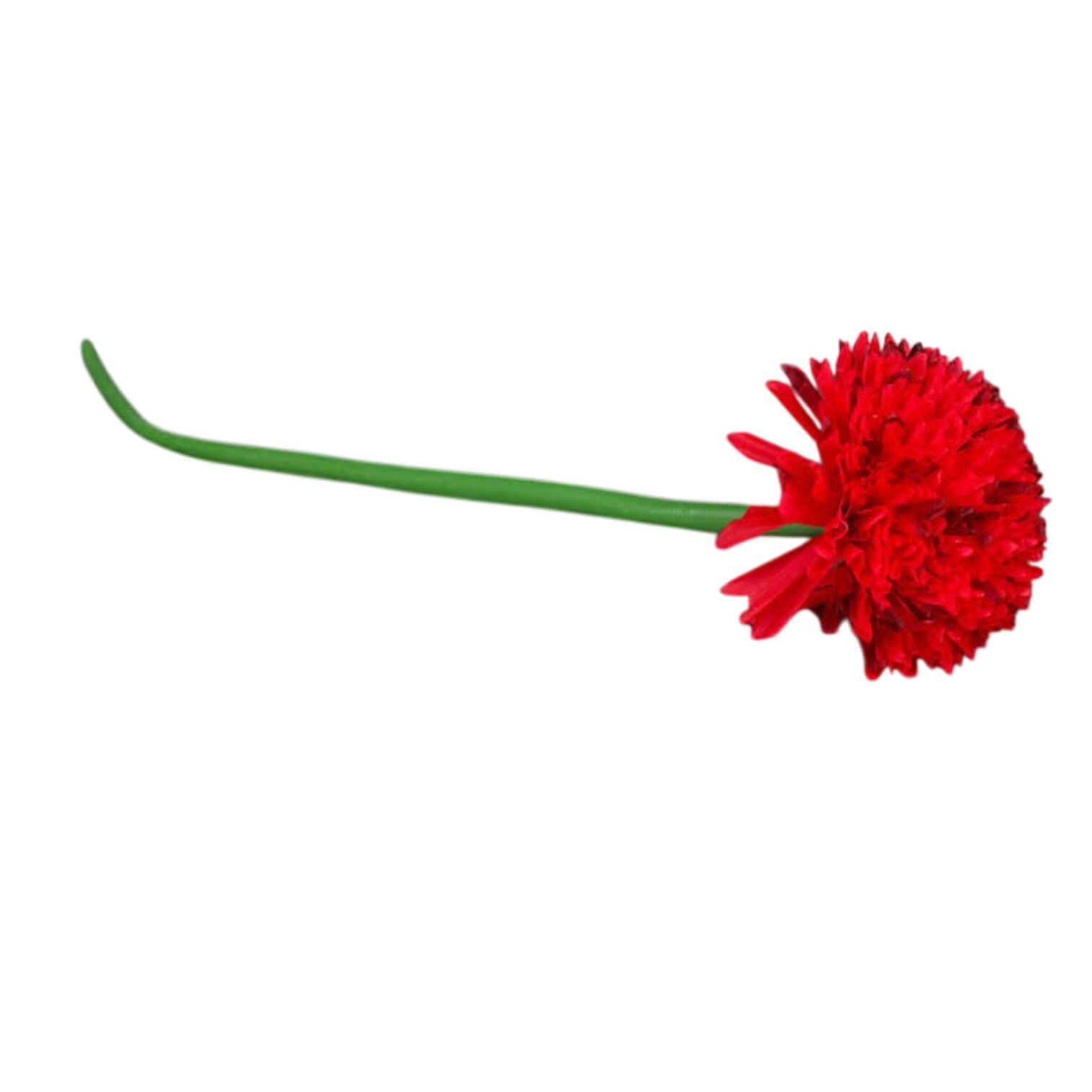 Kadife Çiçeği Kırmızı