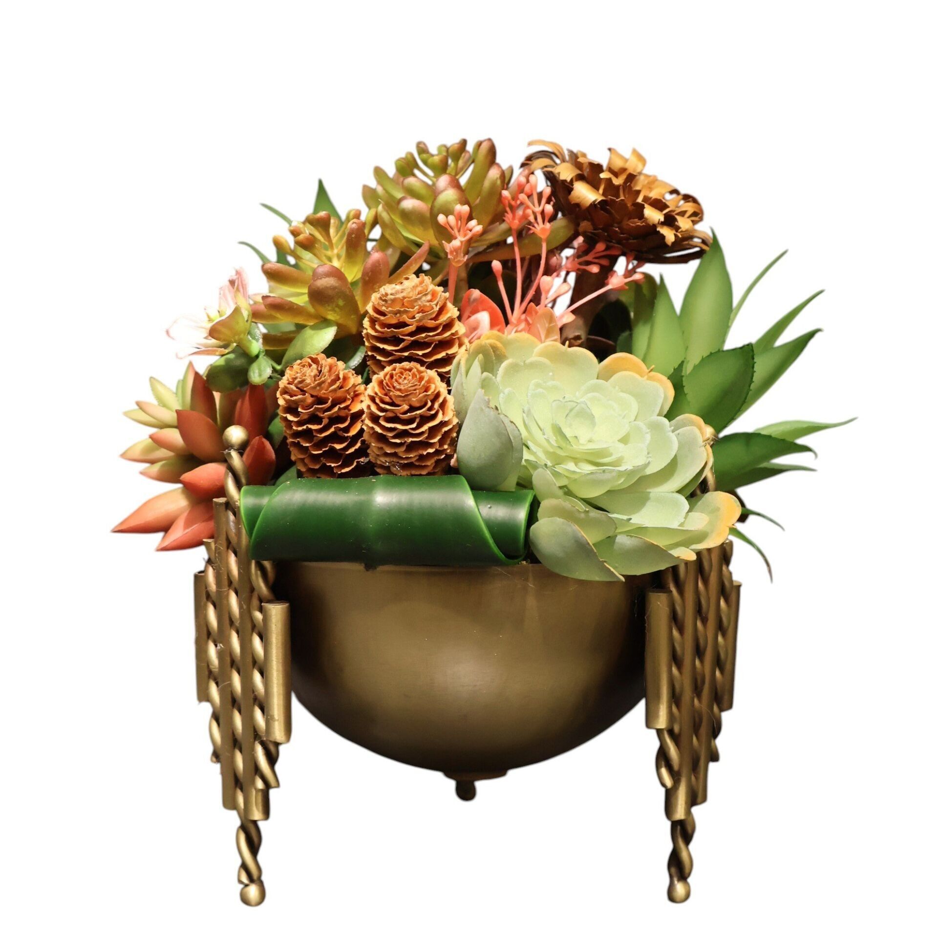 Çubuk Model sukulent