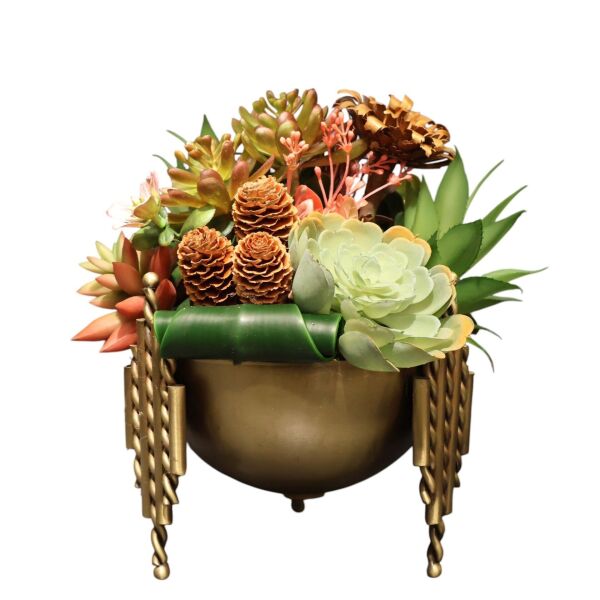 Çubuk Model sukulent