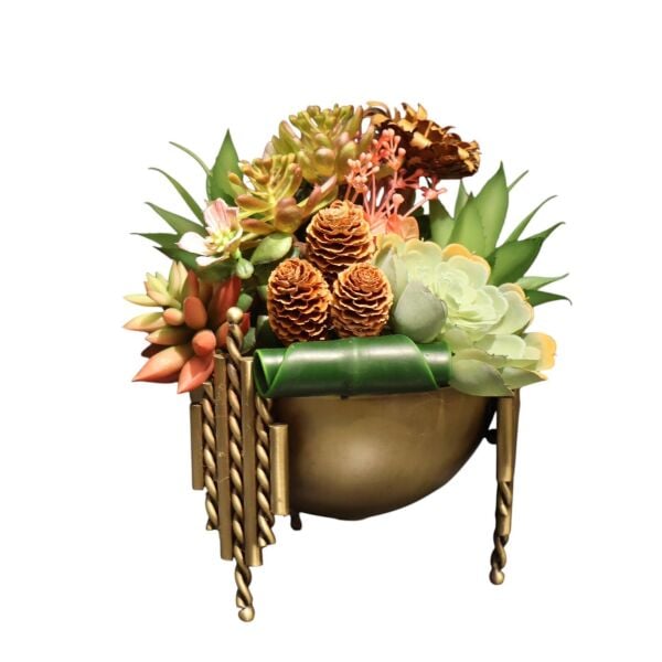 Çubuk Model sukulent