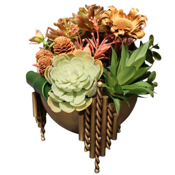 Çubuk Model sukulent