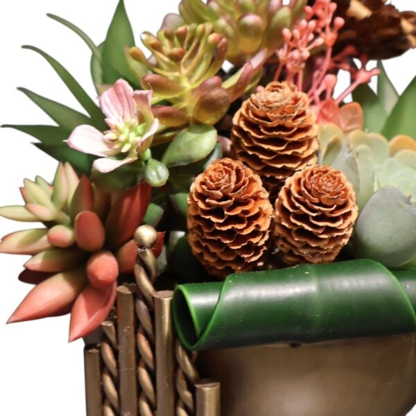 Çubuk Model sukulent