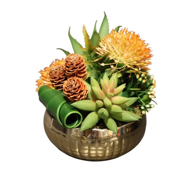 Kare Desen Saksı Eskitme Sukulent Gold