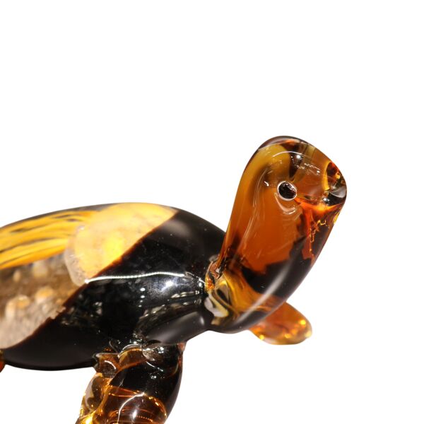 Cam Fosforlu Kaplumbağ