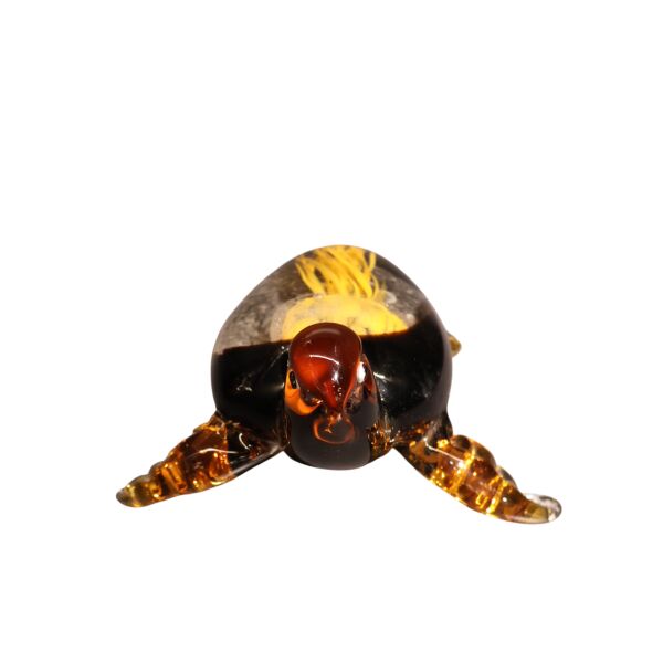 Cam Fosforlu Kaplumbağ