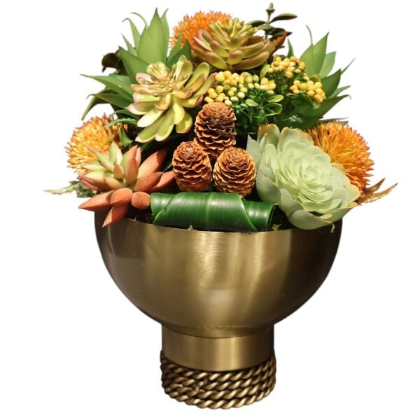 Burgu Taban Sukulent Eskitme Büyük