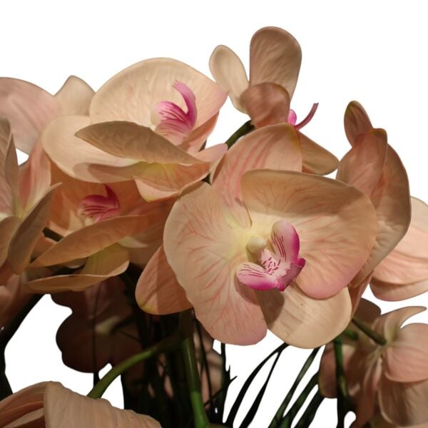 Eskitme Ayaklı 5 Dal Orkide