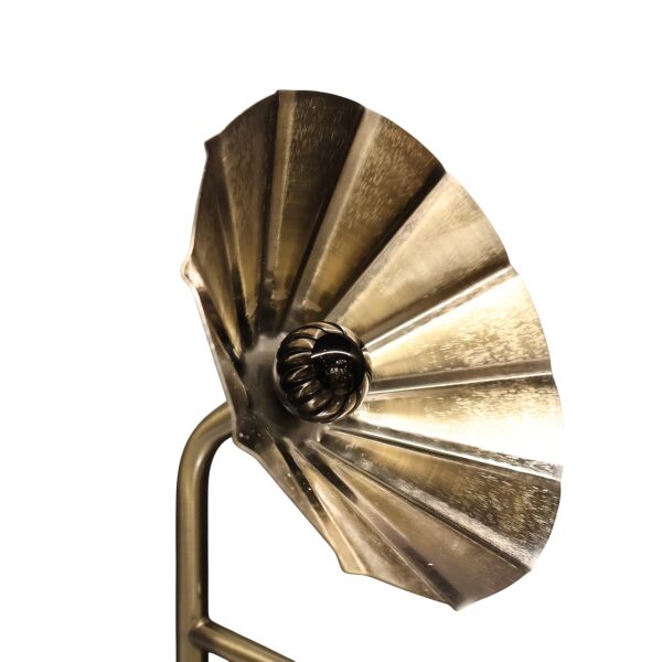 Cam Gramafon Eskitme