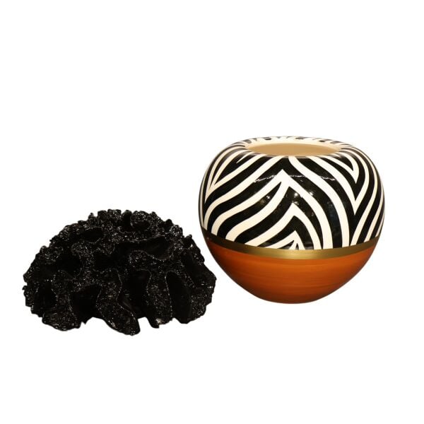 Siyah Mercan Kapak Harmony Kaktüs Saksı