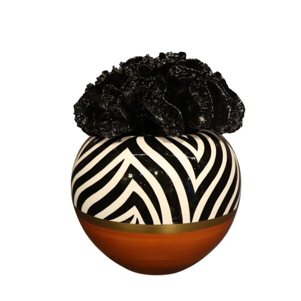 Siyah Mercan Kapak Harmony Kaktüs Saksı