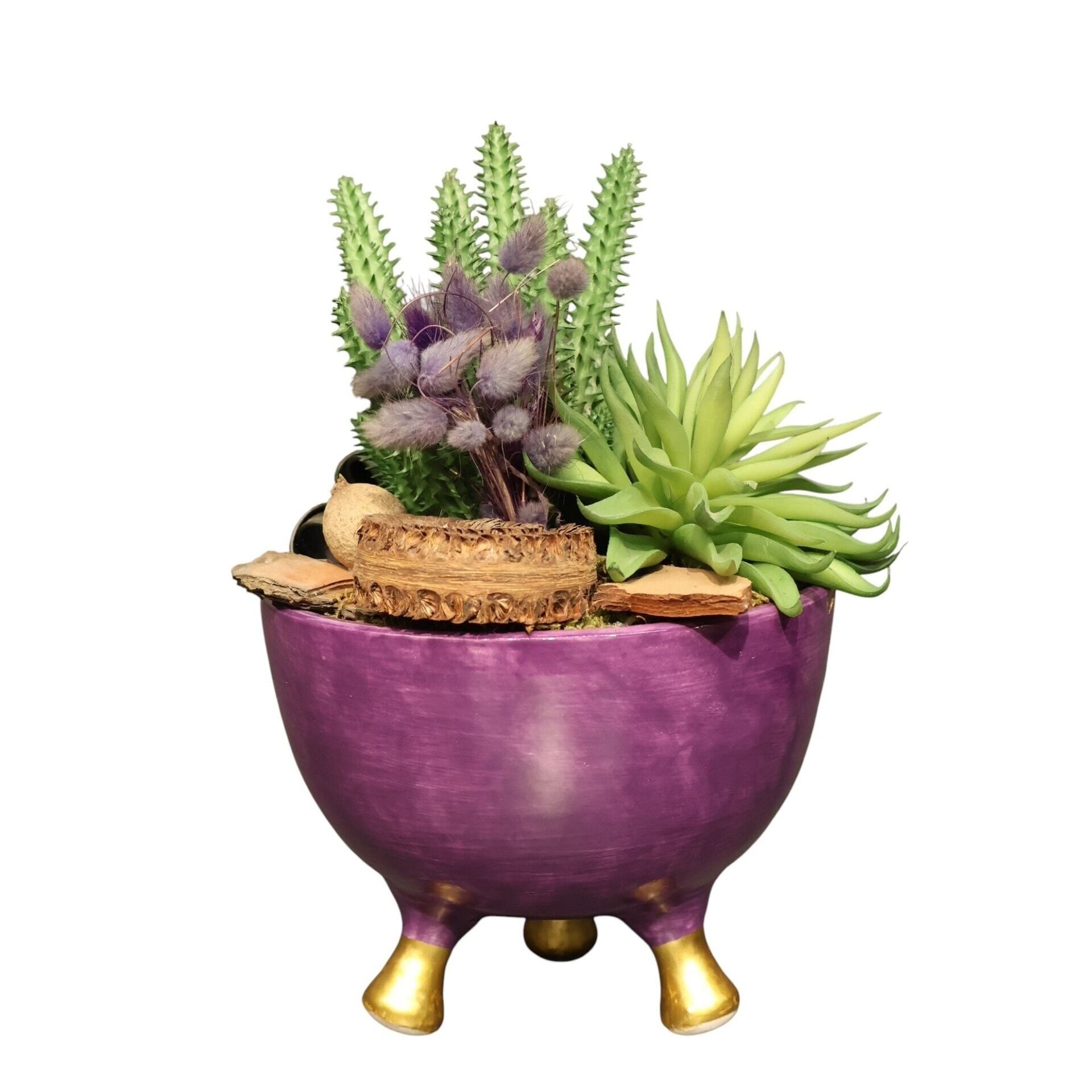 Mor Beyaz Desen Sukulent Kase