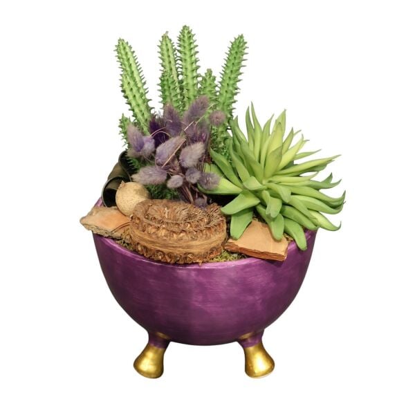 Mor Beyaz Desen Sukulent Kase