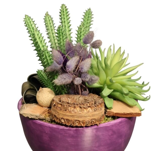 Mor Beyaz Desen Sukulent Kase