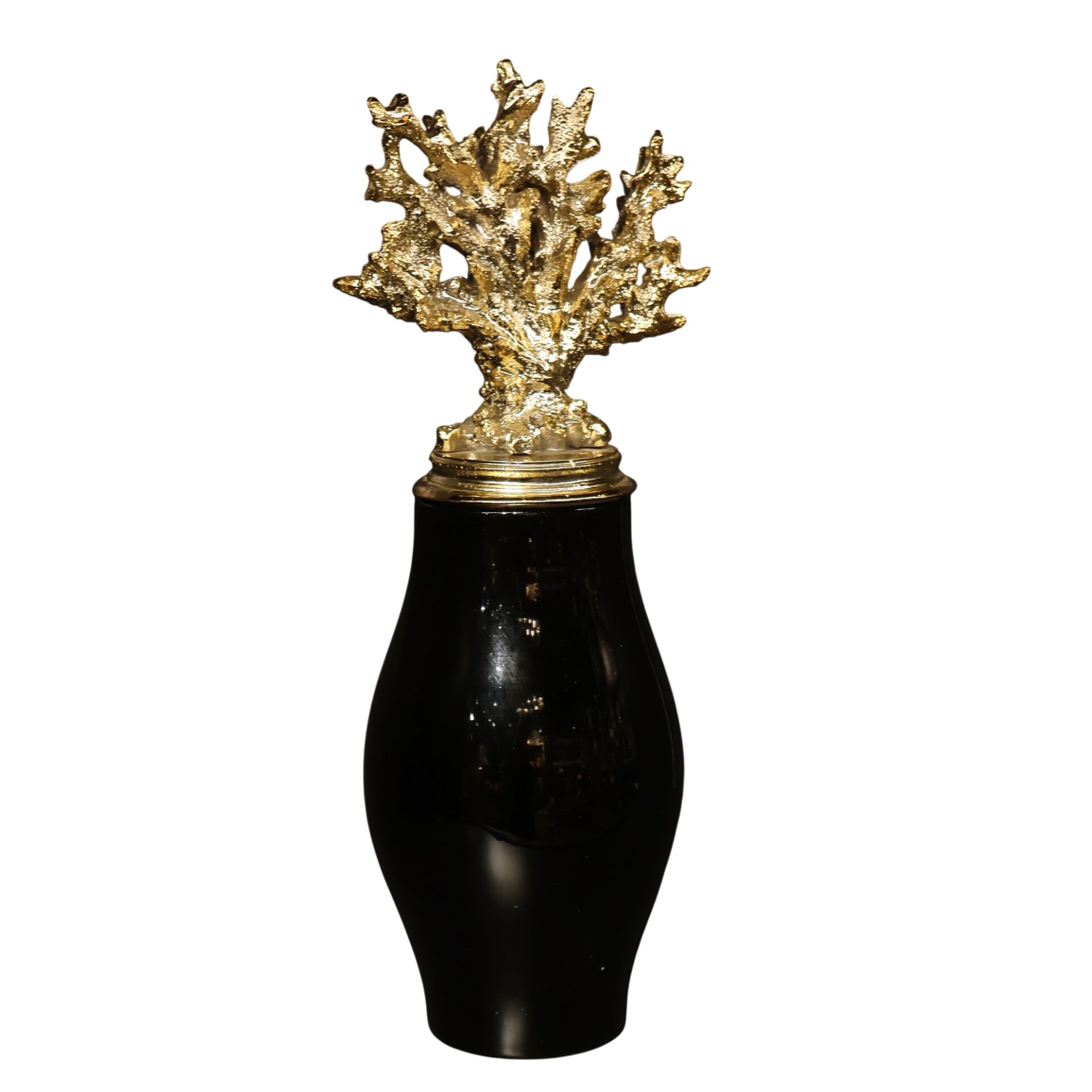 Gold Dik Mercan Siyah Koza Küp