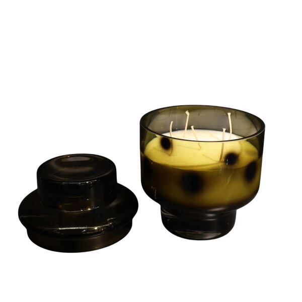 Leopar Kapaklı Yeşil Büyük Yeşil