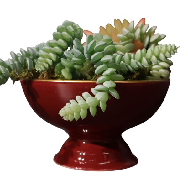 Sukulent Ayakl Kase Kırmızı Ottoman