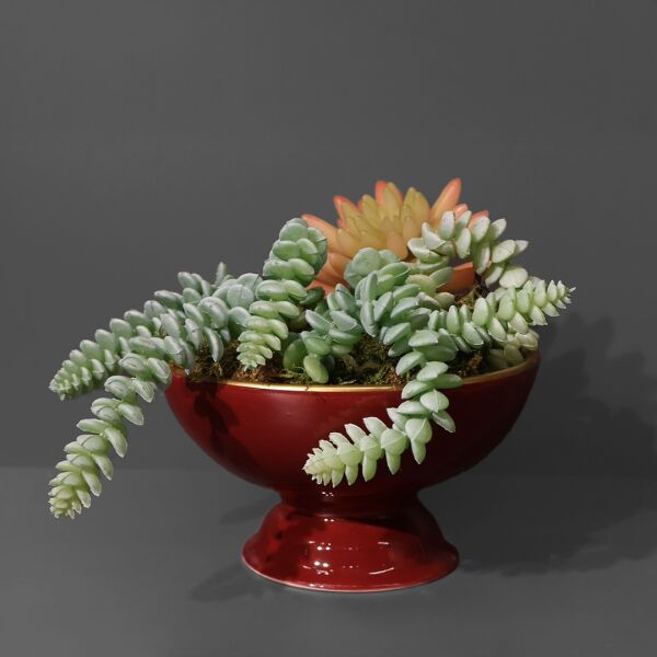 Sukulent Ayakl Kase Kırmızı Ottoman