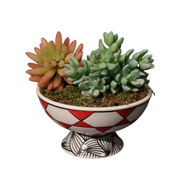 Sukulent Ayakl Kase Kırmızı Ottoman