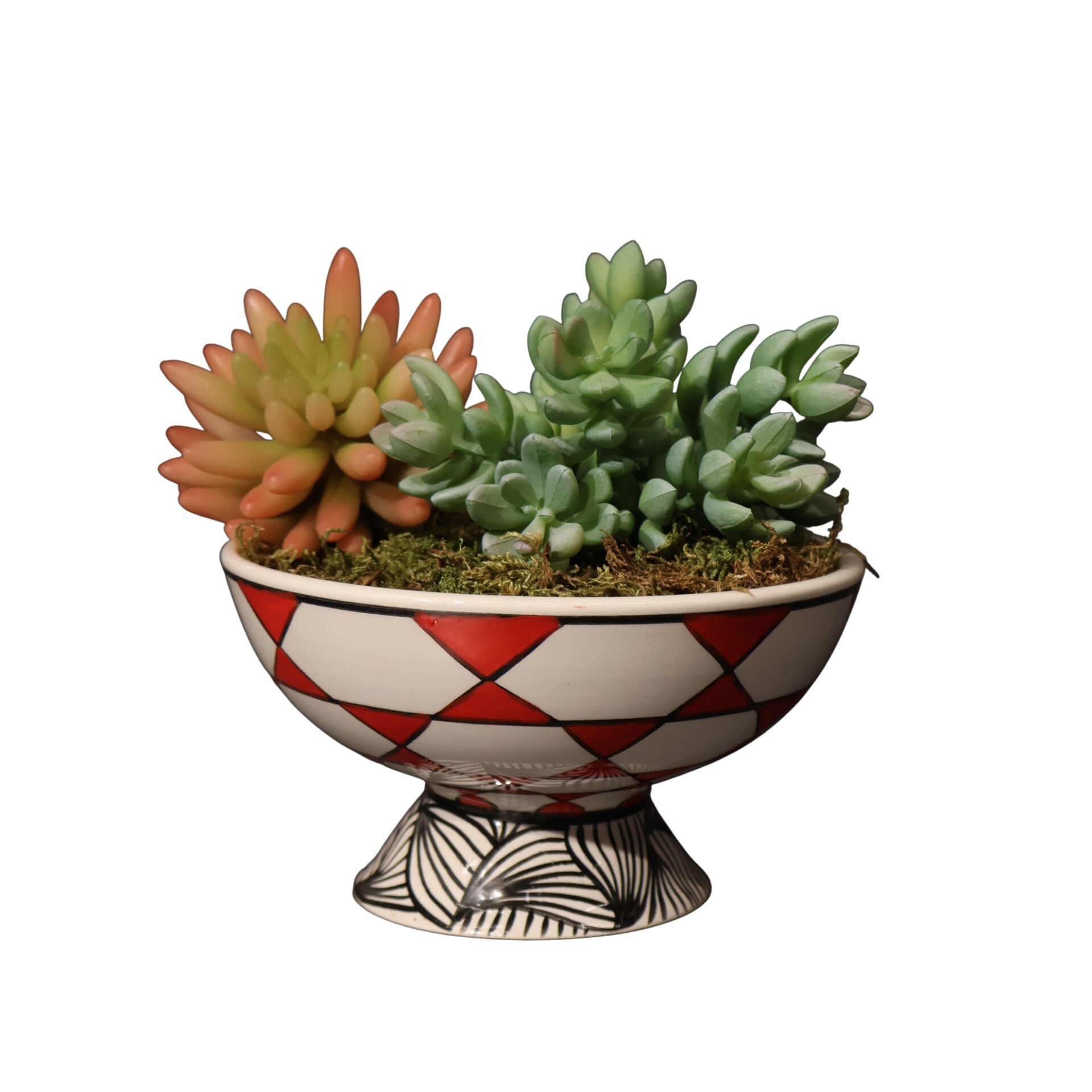 Sukulent Ayakl Kase Kırmızı Ottoman Kırmızı