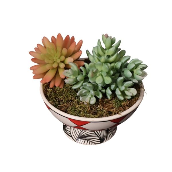 Sukulent Ayakl Kase Kırmızı Ottoman Kırmızı